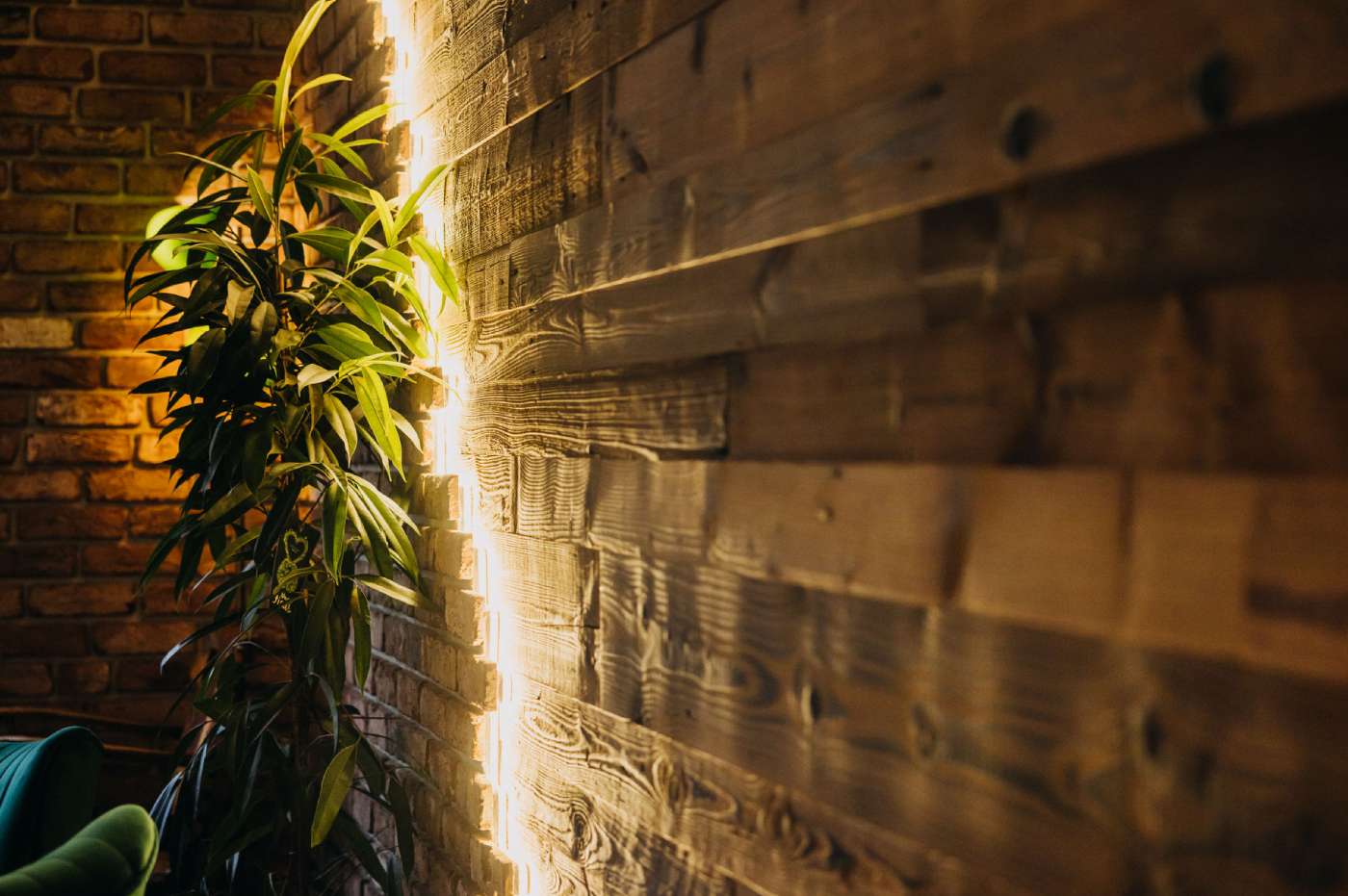 Wandpaneele Sonnenverbrannt